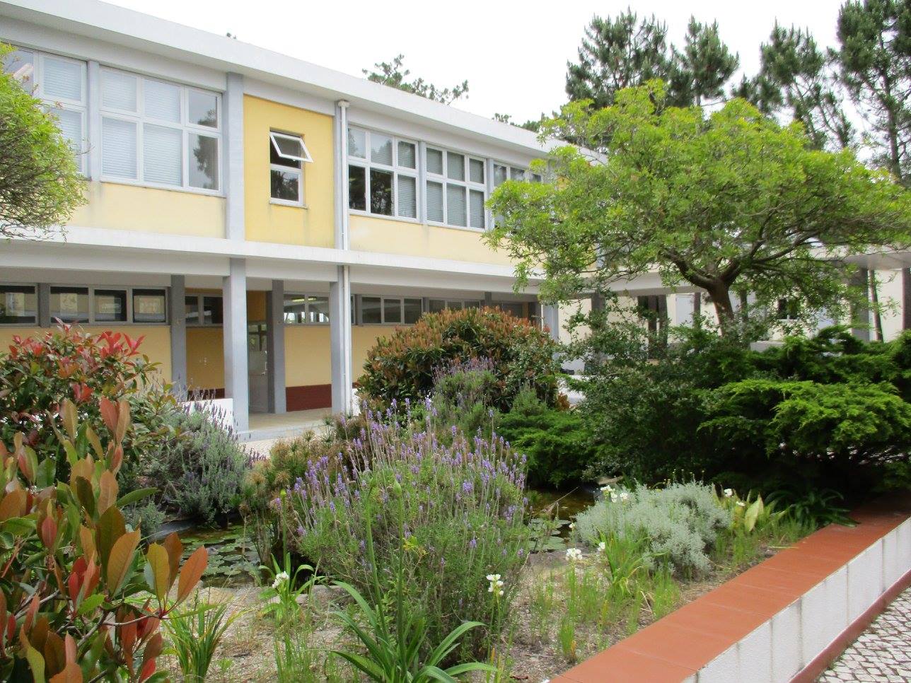 Memotivasi Siswa: Studi Kasus Sekolah ClassPoint dengan Escola Profissional de Penafirme di Torres Vedras, Portugal