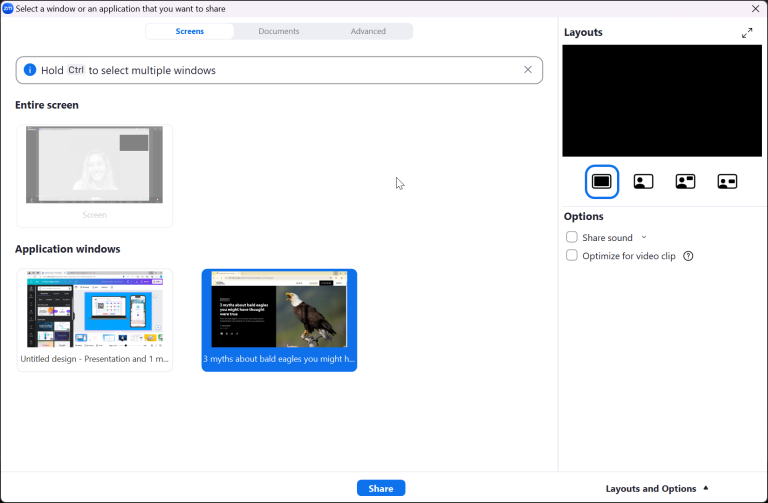 How To Annotate On Zoom: Tips For Interactive Meetings | ClassPoint